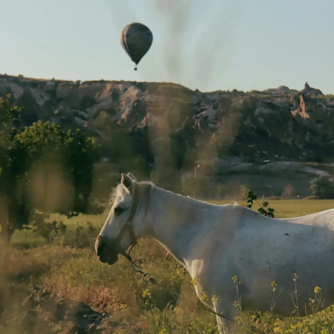 Caballo Globo