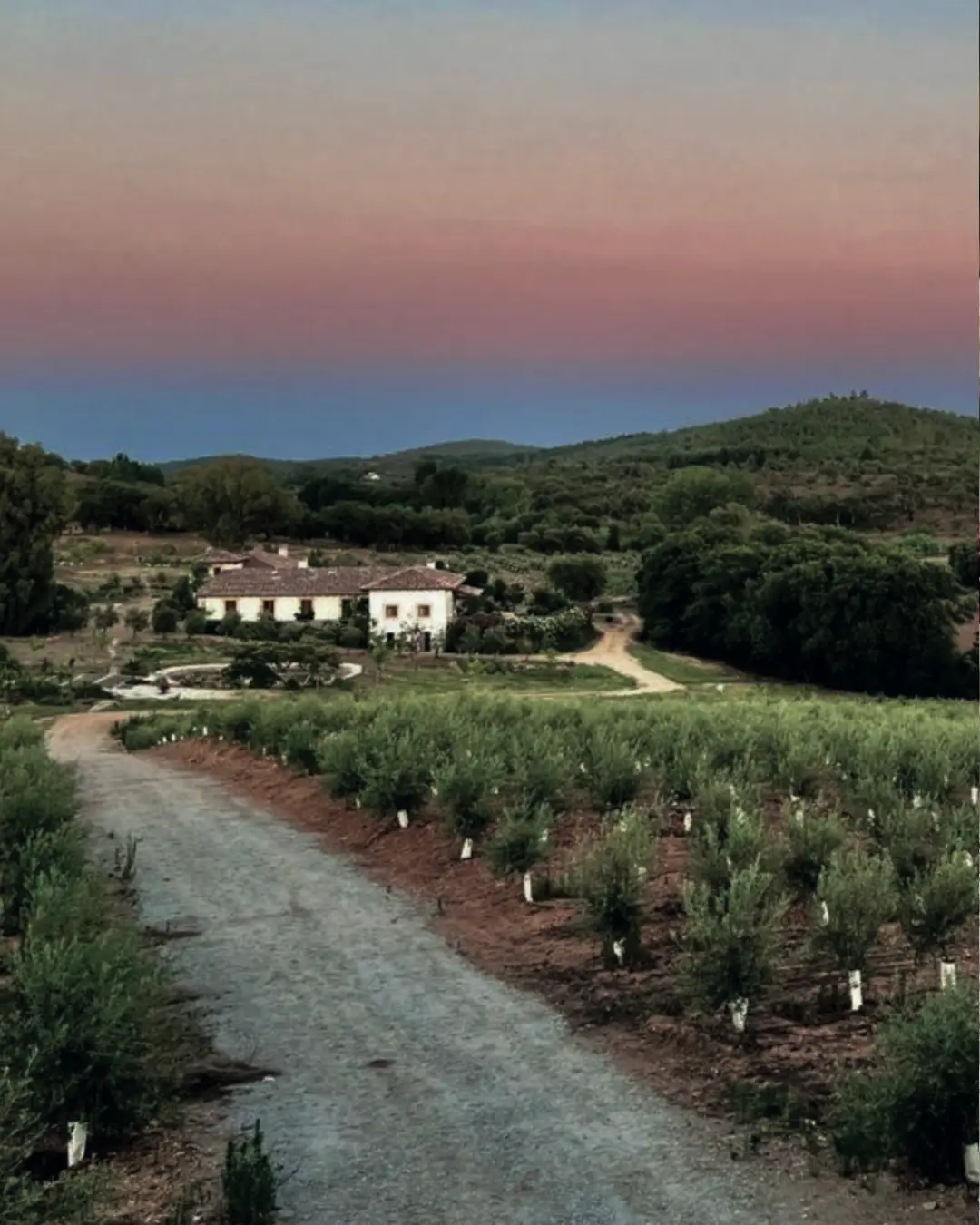 Finca